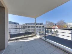 1195 - Photo 1