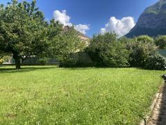 1142 - Photo 3