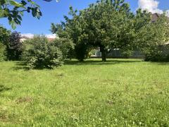 1142 - Photo 1
