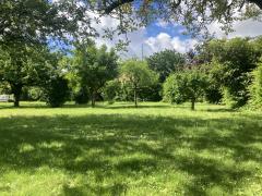 1142-ARAVA - Photo 3