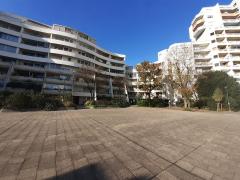 1180-ARAVA - Photo 2