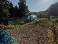 1243-ARAVA - Photo 1