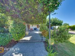 1250-ARAVA - Photo 12