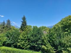 1168-ARAVA - Photo 11