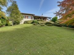 1277-ARAVA - Photo 11
