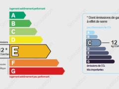 1278-ARAVA - Photo 12