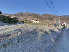 1306-ARAVA - Photo 5