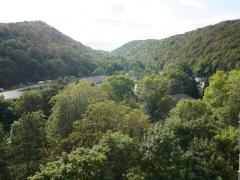 1309-ARAVA - Photo 8