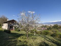 1319-ARAVA - Photo 2