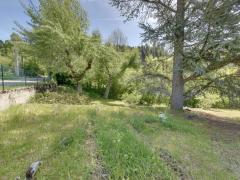 1338-ARAVA - Photo 13