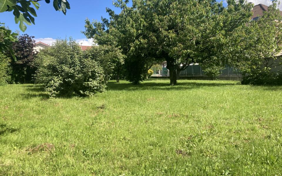 1142-ARAVA - Photo 2