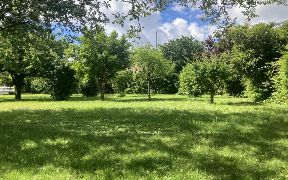 1142-ARAVA - Photo 3