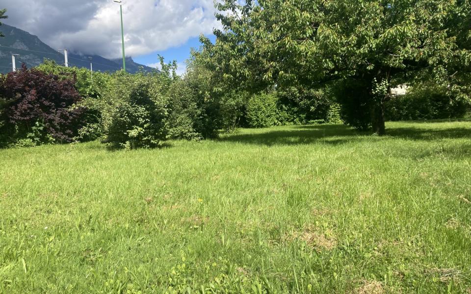 1142-ARAVA - Photo 1