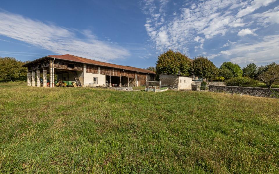 1175-ARAVA - Photo 9