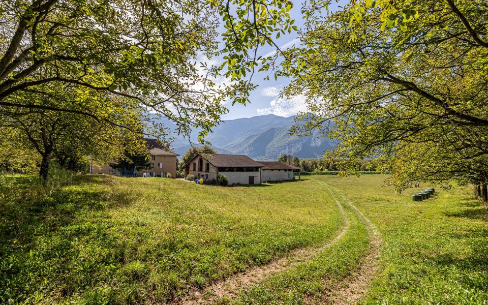 1175-ARAVA - Photo 7