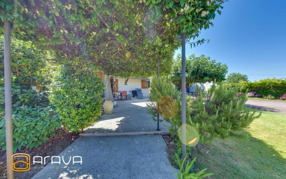 1250-ARAVA - Photo 12