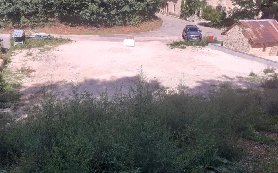 1257-ARAVA - Photo 4