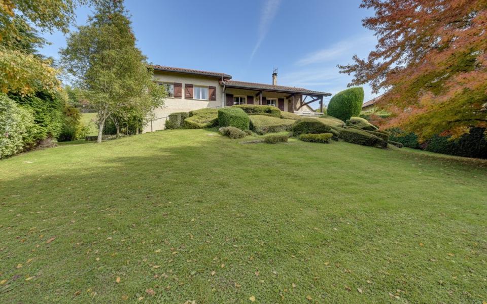 1277-ARAVA - Photo 11