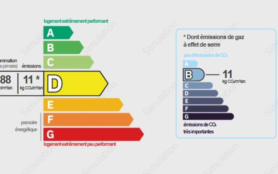 1231-ARAVA - Photo 7