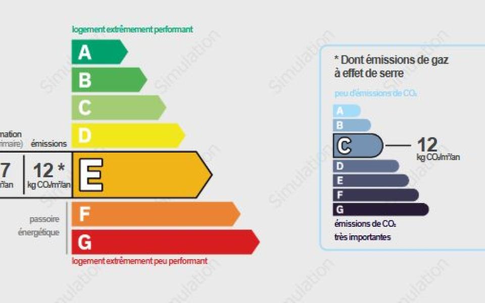 1278-ARAVA - Photo 12