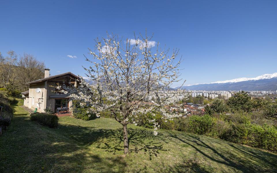 1319-ARAVA - Photo 2